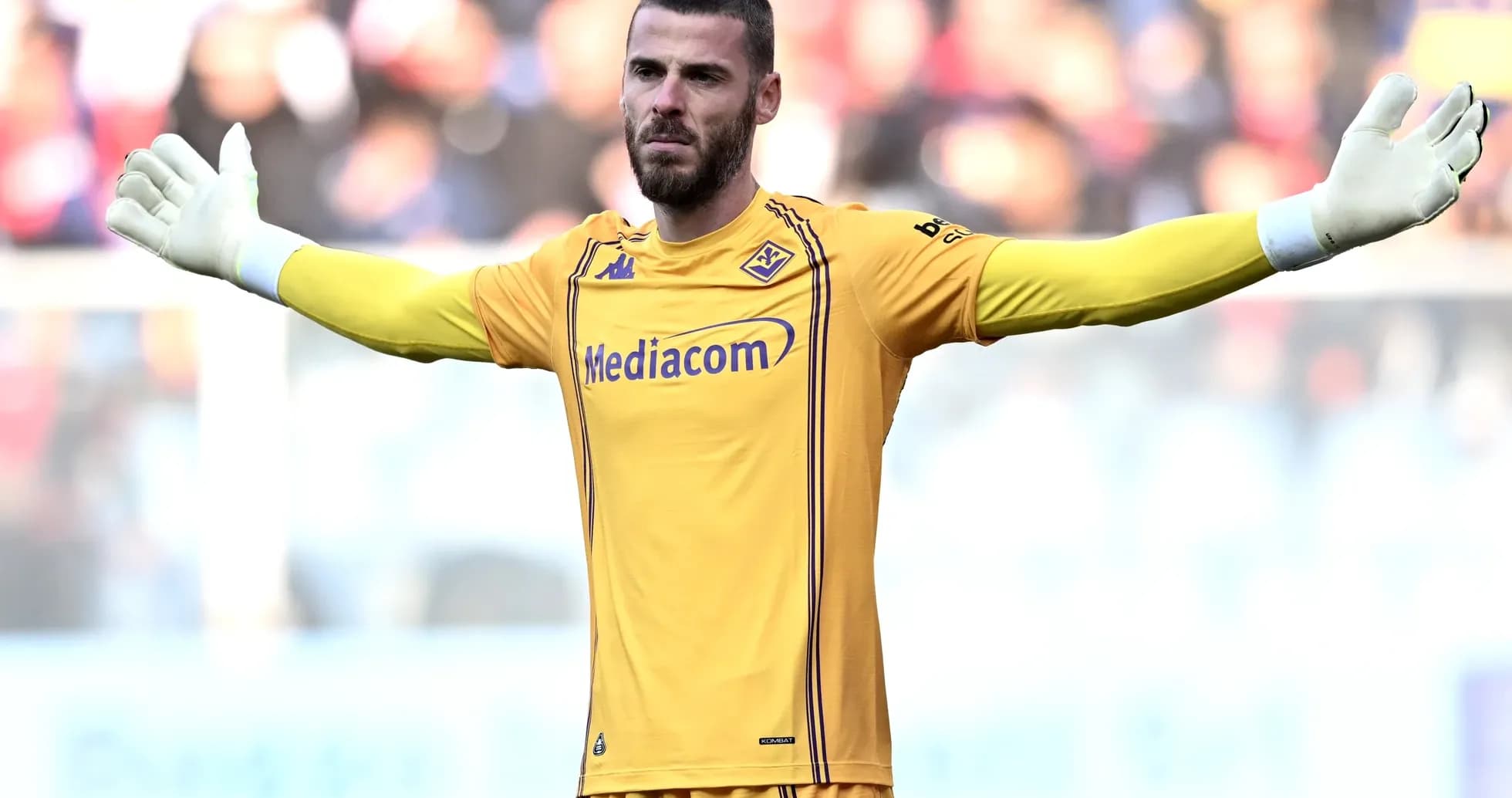 Portero de Fiorentina durante el partido